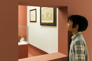 Boy looking through terracotta wall at artwork